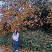 I give private or school lesson to help